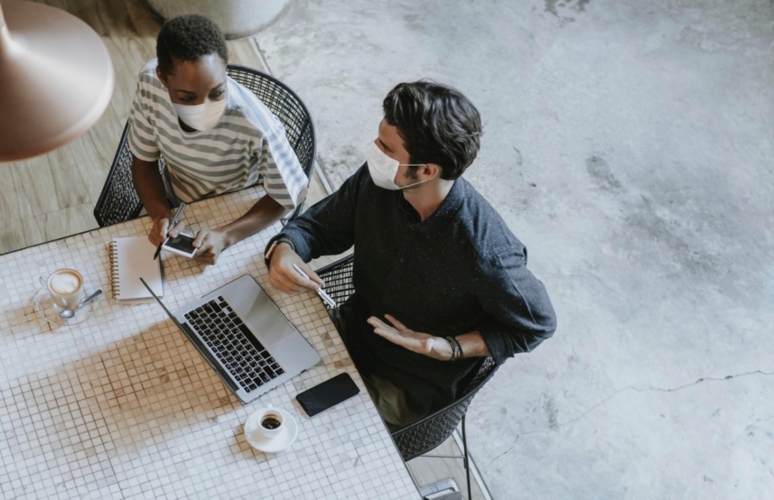 Consultation stratégique selenivorax